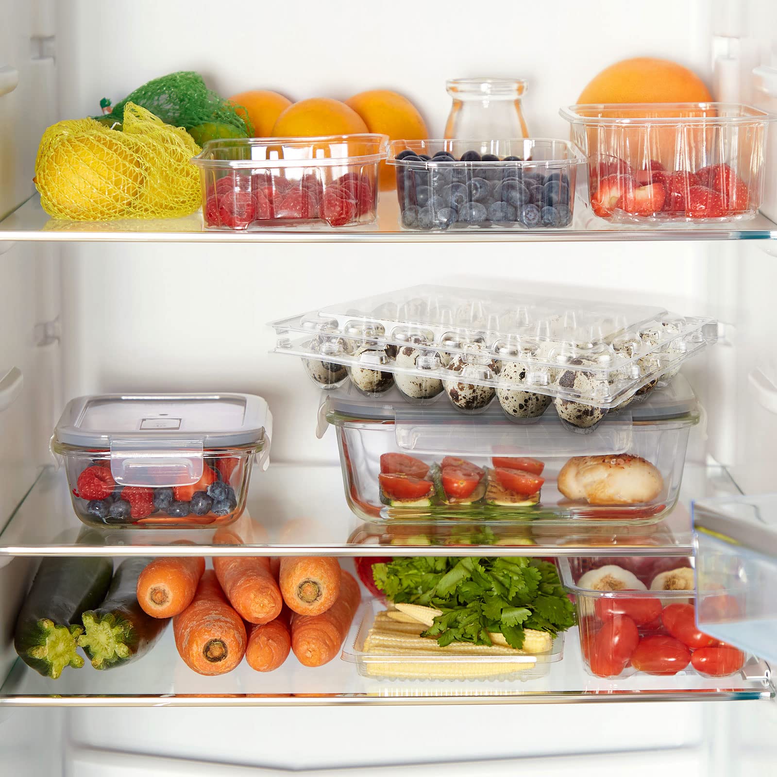 うずらの卵さん専用 ツインベアーうずら卵水煮(タイ産） 2号缶: 畜産品 KANTO EXPRESS