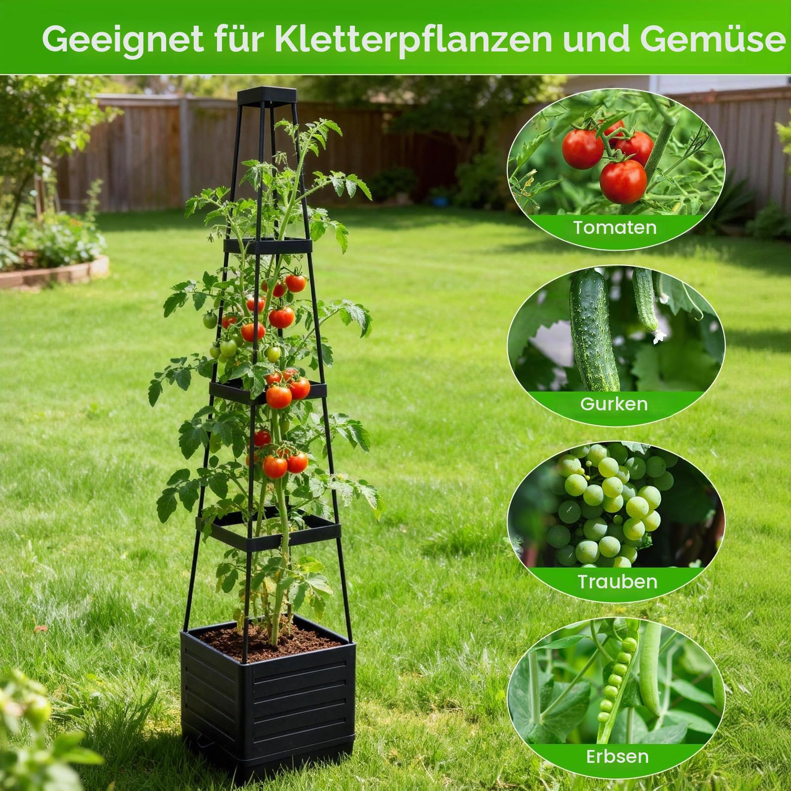 Erhöhte Pflanzkasten & Tomatenkäfig mit Rankgitter, selbstbewässernd, Tomatenstützen für kletternde Gemüsepflanzen – Geeignet für Terrassen, Gewächshäuser, Innen- & Außenbereich (2 Stück)