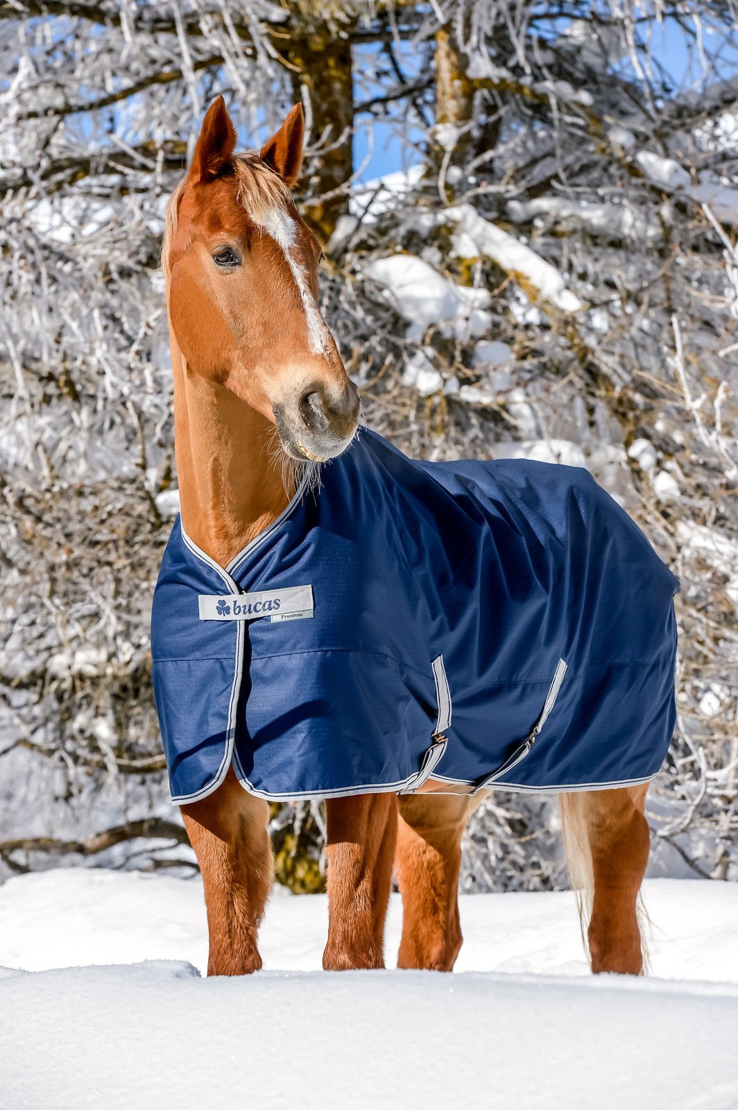 Bucas Freedom Turnout Pony Light - Navy/Silver, Groesse:85