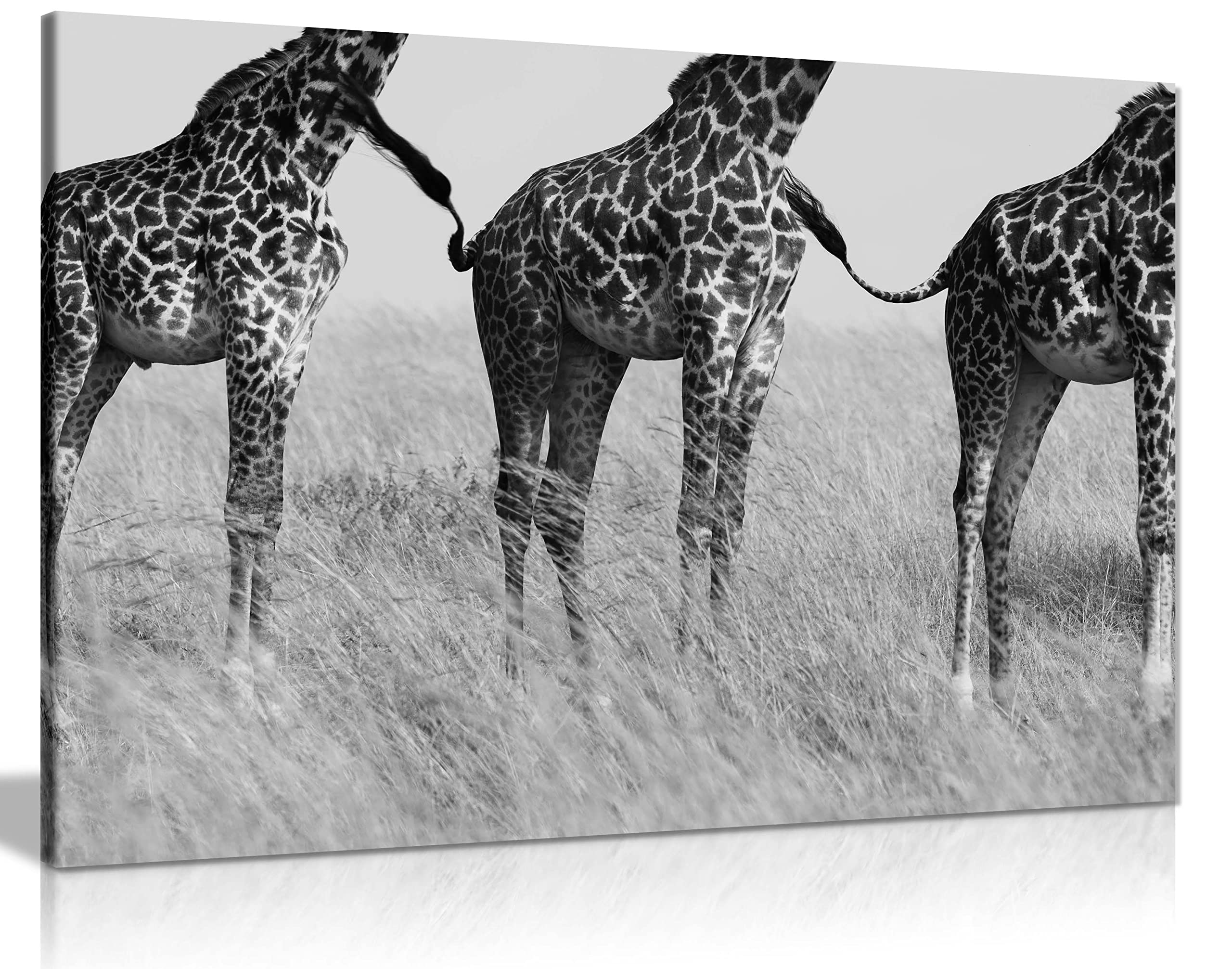 African Safari Giraffe Connection Wildlife - Wrapped Canvas Photograph