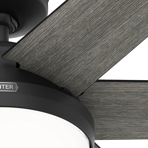 Miniatura 6 de Hunter Ventilador de techo de interior negro mate de 60 pulgadas con kit de luz LED y control remoto para dormitorio, sala de estarsala familiar,