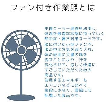 Yページ LEX Yakumo; JR West 381 series - Japan Rail: Pictures