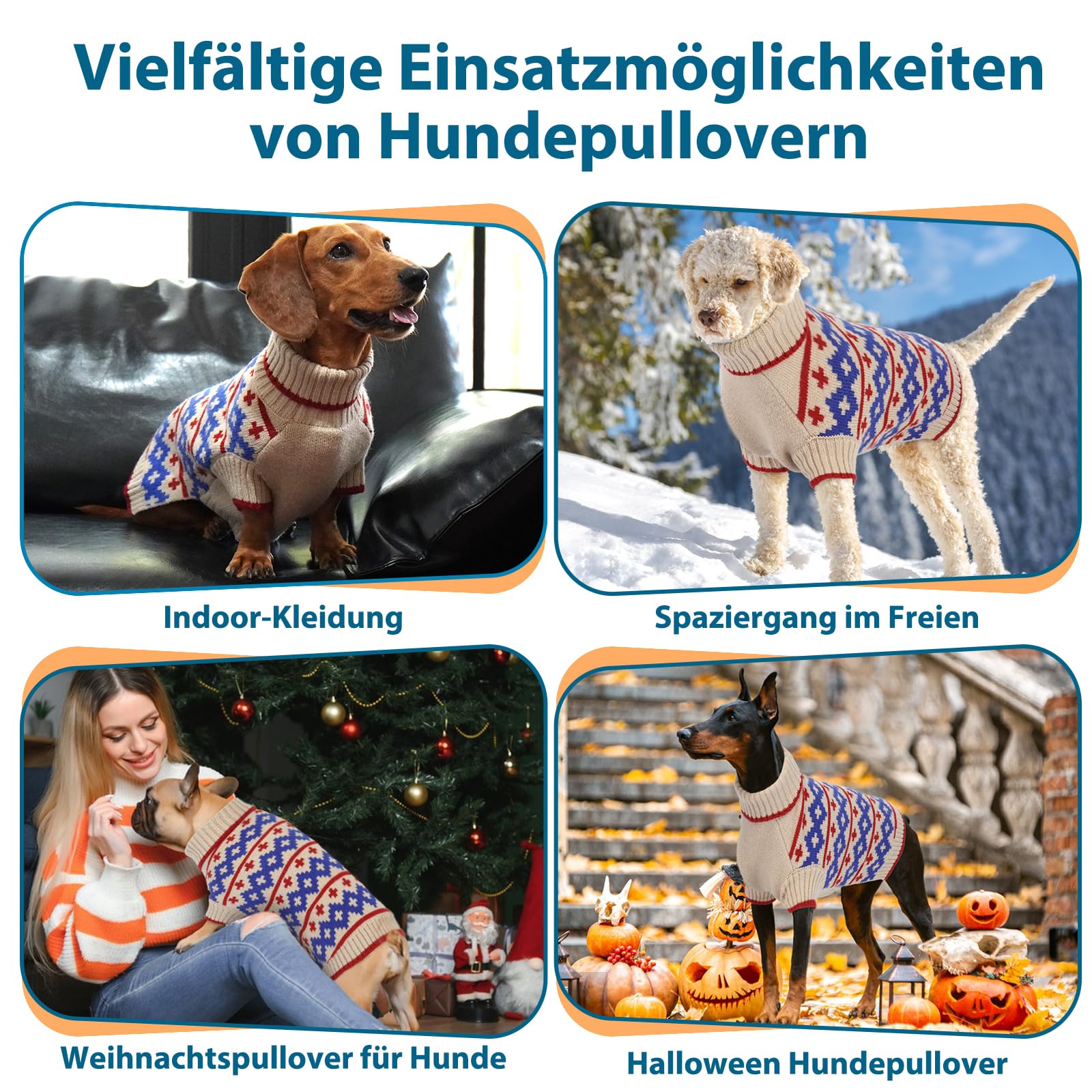 Cani Maglione Albicocca