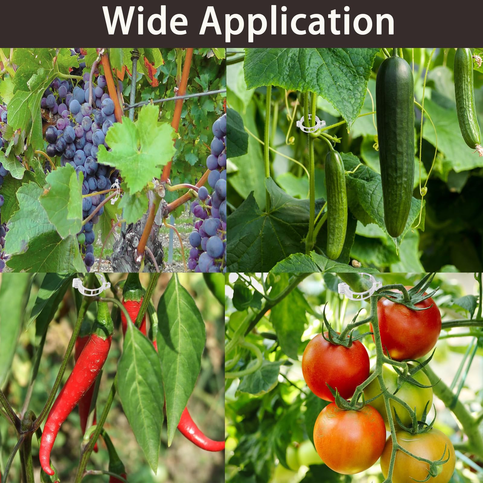 100 Clip Per Pomodori E Piante Rampicanti - Supporti Da Giardinaggio In Plastica Riutilizzabili, Verdi, Per Traliccio E Corde