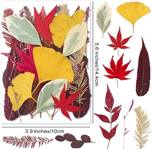 Miniatura 10 de 15 tipos de 37 flores prensadas secas rosas para moldes de resina, flores prensadas naturales reales para manualidades de manualidades, fabricación