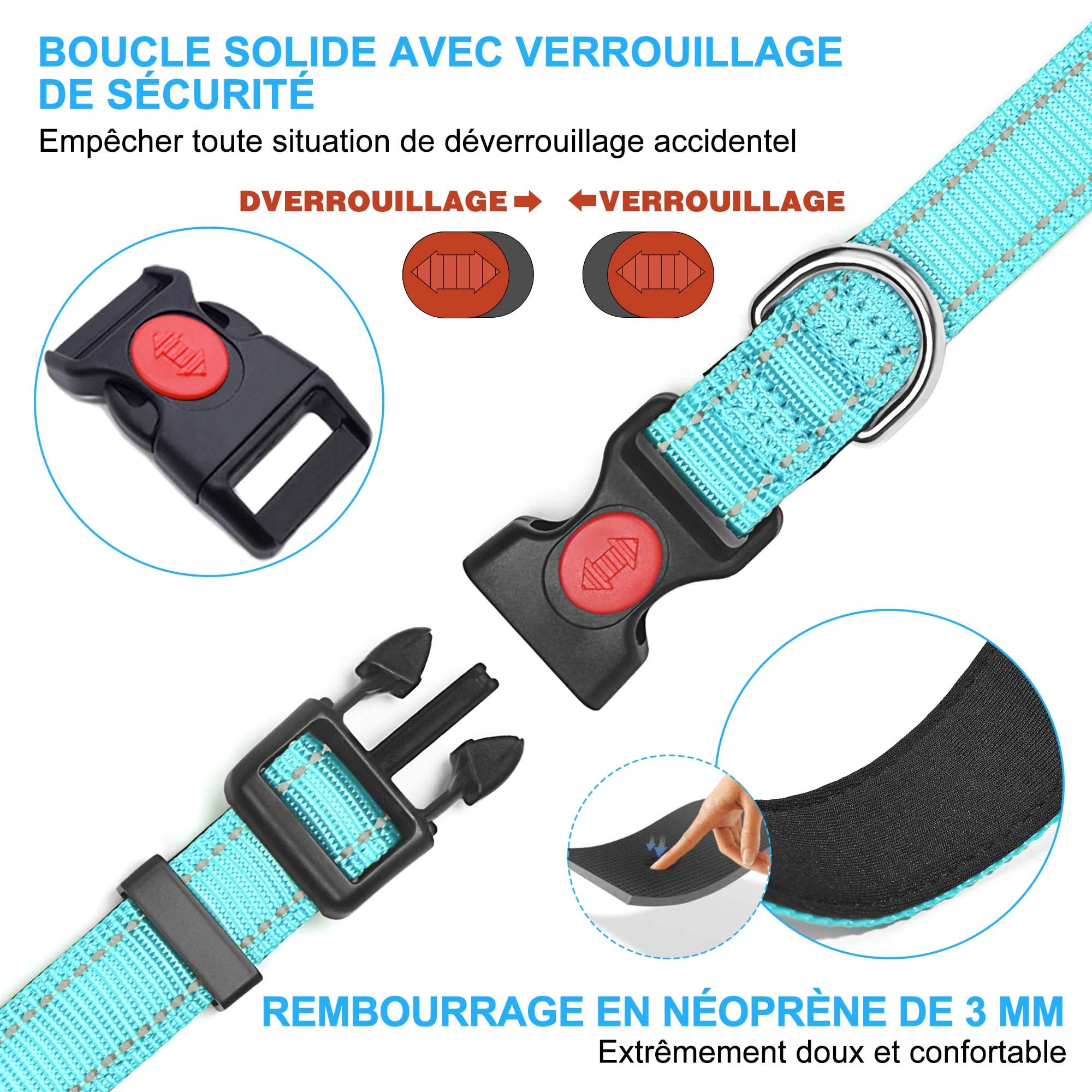 haapaw Collier pour Chien réfléchissant rembourré en néoprène Souple et Respirant, réglable en Nylon pour Petits, Moyens et Grands Chiens