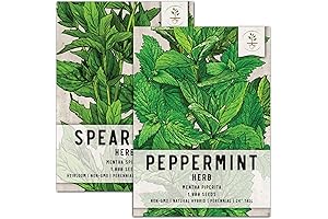 Mint Seed Packet Collection: Spearmint and Peppermint Seeds for Planting