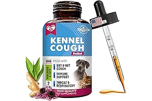 Kennel Cough Treatment & Natural Infection Medicine for Cats