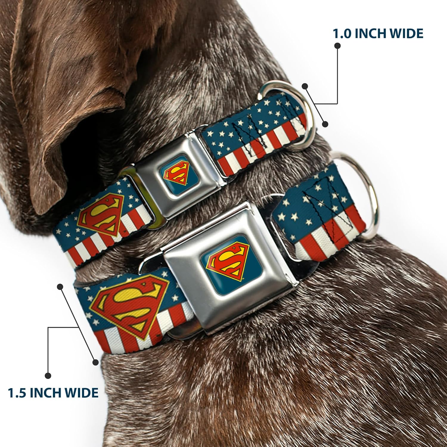Buckle-Down Seatbelt Buckle Dog Collar - Superman Shield Americana Red/White/Blue/Yellow - 1" Wide - Fits 15-26" Neck - Large