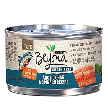 Purina Beyond Grain Free, Natural Pate Wet Cat Food, Grain Free Arctic Char & Spinach Recipe - (12) 3 oz. Cans
