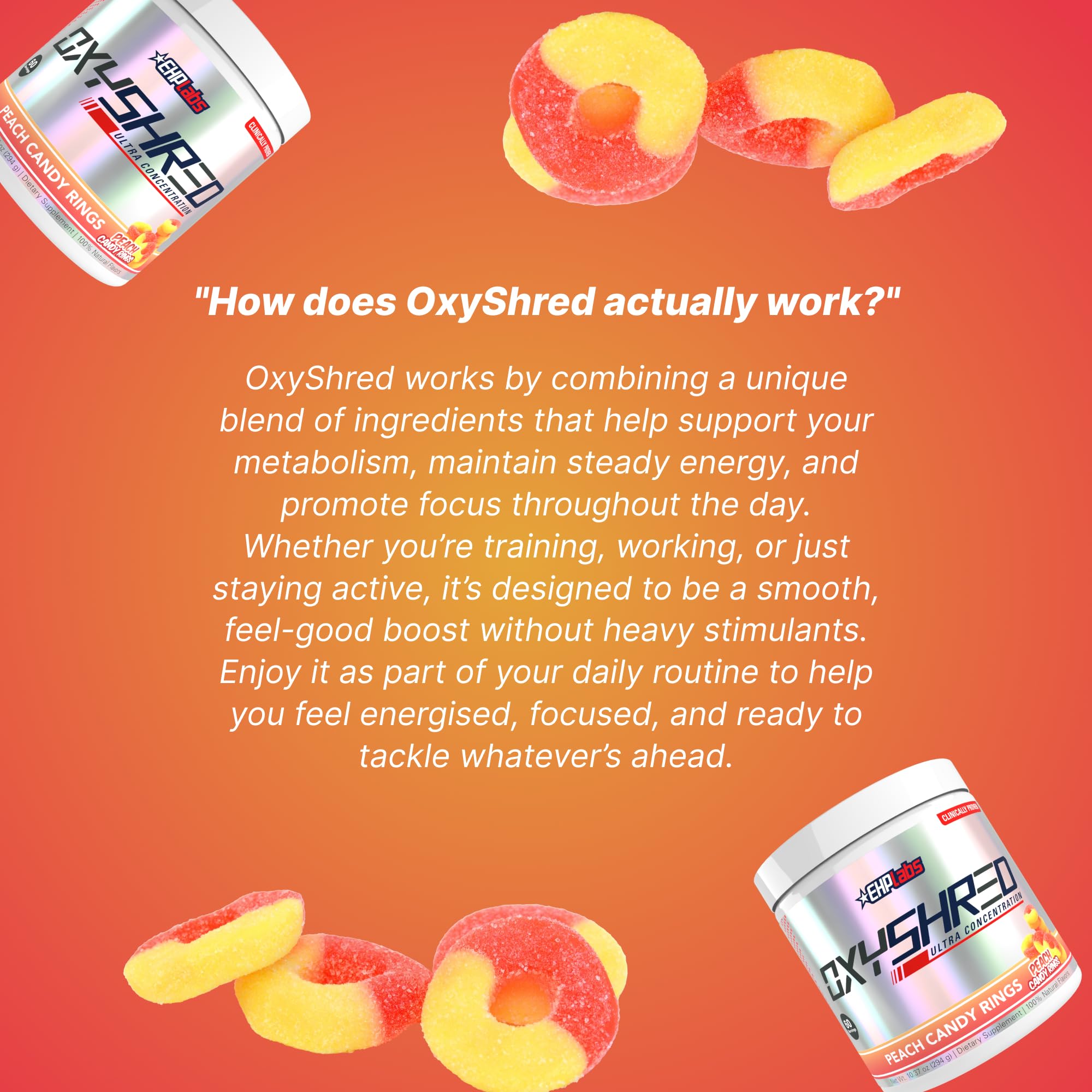 l carnitina nutricost Nutricost L-Carnitine Tartrate Powder 100 Grams l carnitina nutricost Nutricost L-Carnitine Tartrate Powder 100 Grams