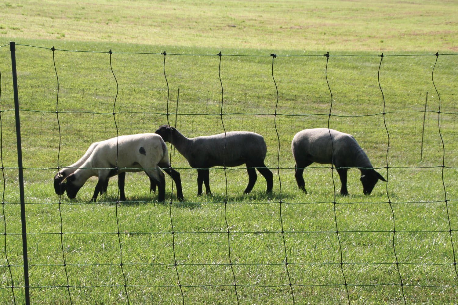 Kencove Electric Net Fence 40" Height x 164' Length, 9 Horizontal Lines, 7" Vertical Line Spacing, Green