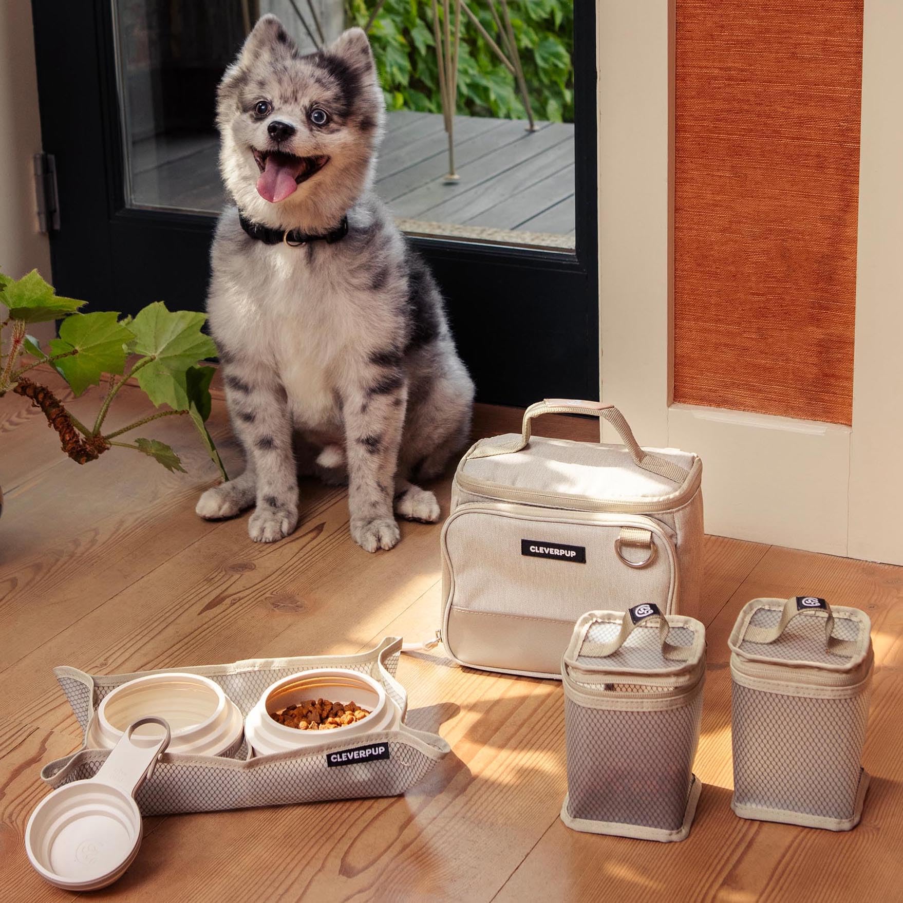 Cleverpup, Kit de viaje de comida para perros de 7 piezas, almacenamiento pequeño de croquetas de 6 tazas, 2 cuencos de silicona, alfombrilla y cuchara, kit de comida portátil de alta calidad para