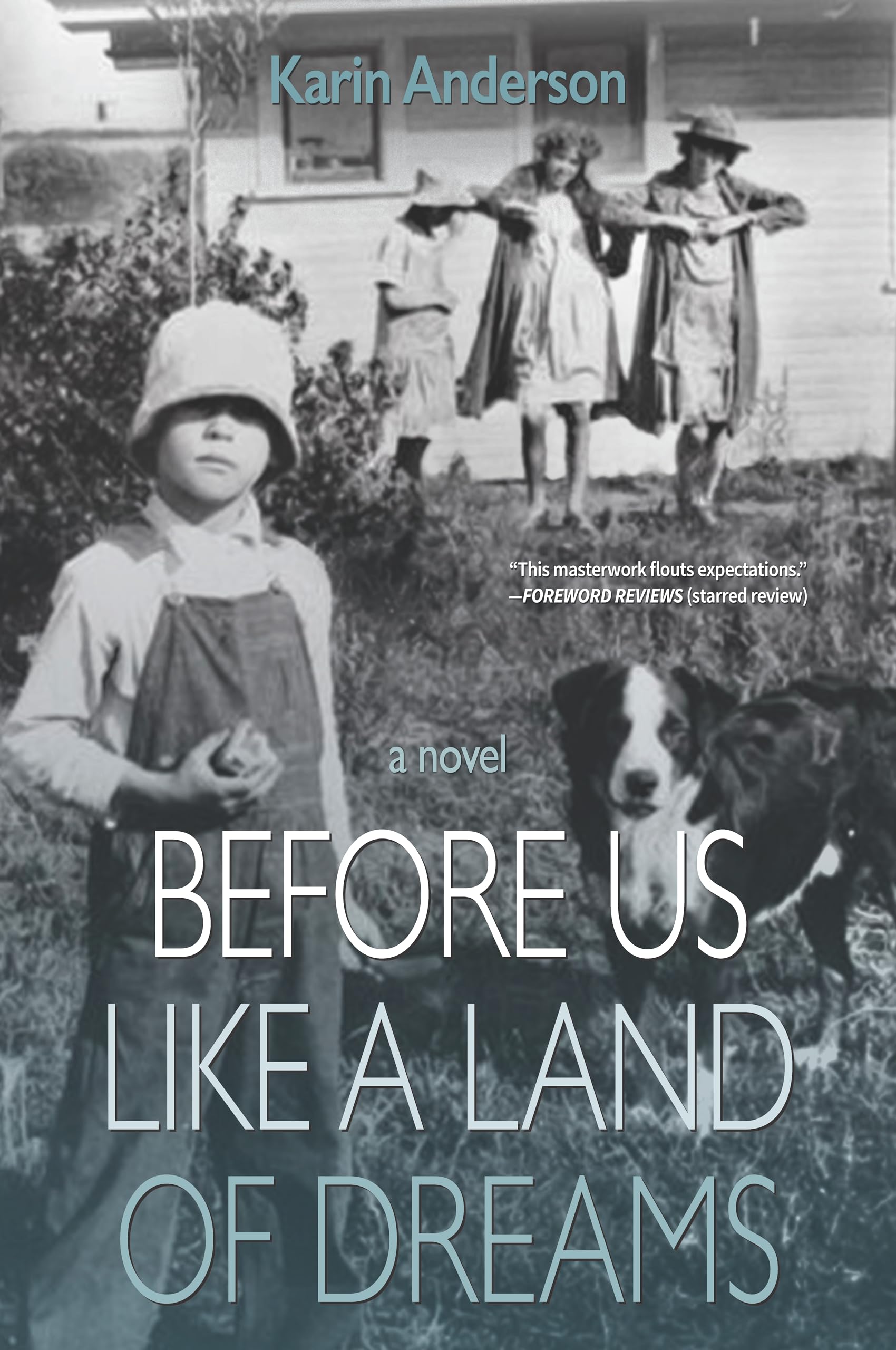 Buy Before Us Like a Land of Dreams — BookShops.in