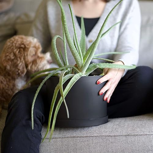 Miniatura 5 de Bloem Mathers - Maceta redonda con bandeja para platillo 8 pulgadas, diseño moderno, maceta de plástico duradera, platillo extraíble, para uso en