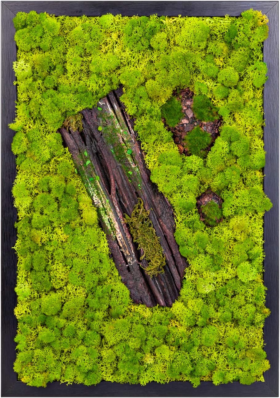 LVZHIHUAN Moss Wall decor Real Preserved Reindeer Moss No Maintenance Required Eco Natural Green Wall Art Moss Frame Living Plants Vertical Garden 19.7 x13.8inch,Black Frame