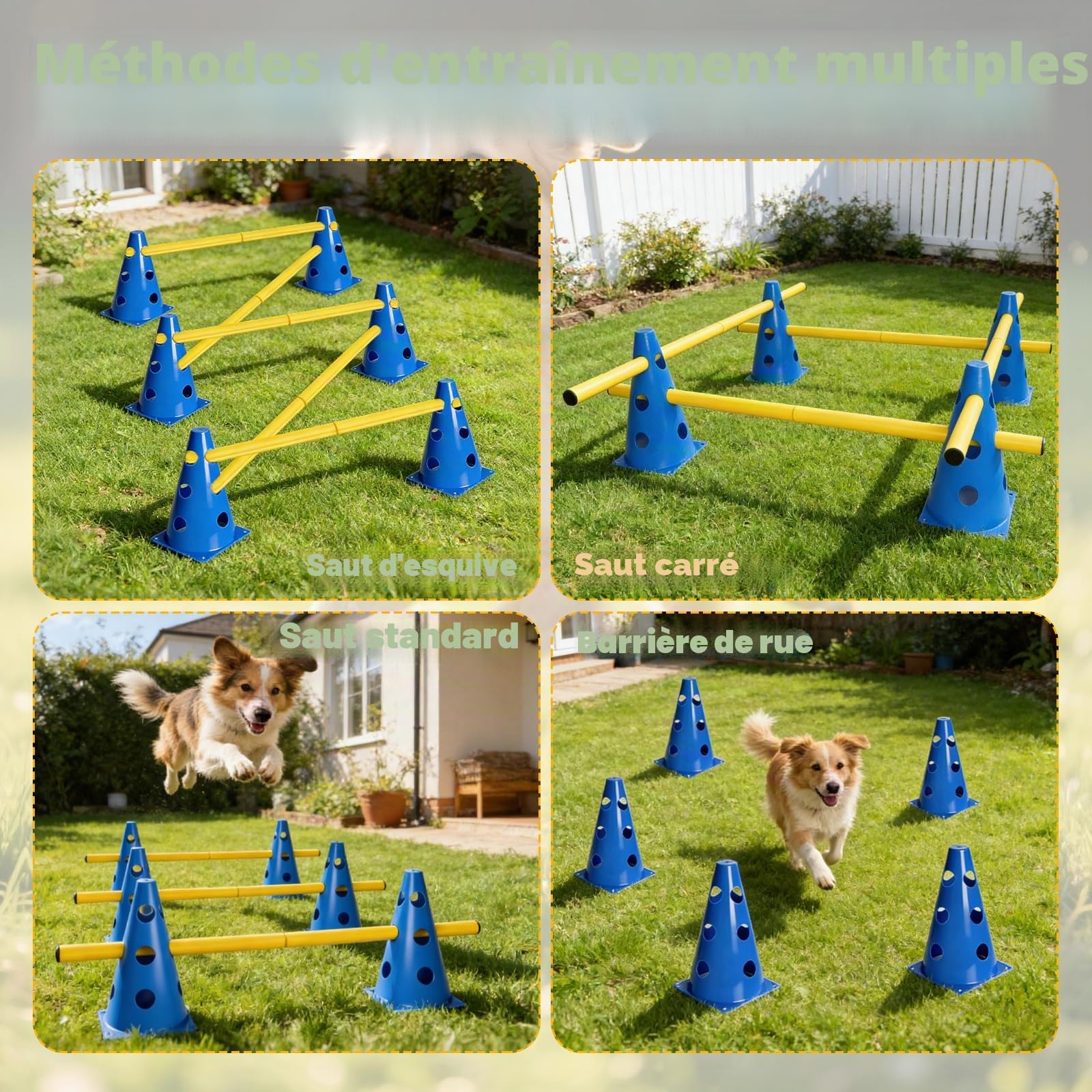 Cavaletti Lot de 6 accessoires d'agilité pour chien, obstacles, obstacles, loisirs, saut