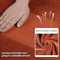 Vista 70 de WEERRW Fundas de terciopelo para sofá de 2 cojines, fundas de sofá de felpa de terciopelo de lujo de alta elasticidad, con parte inferior elástica