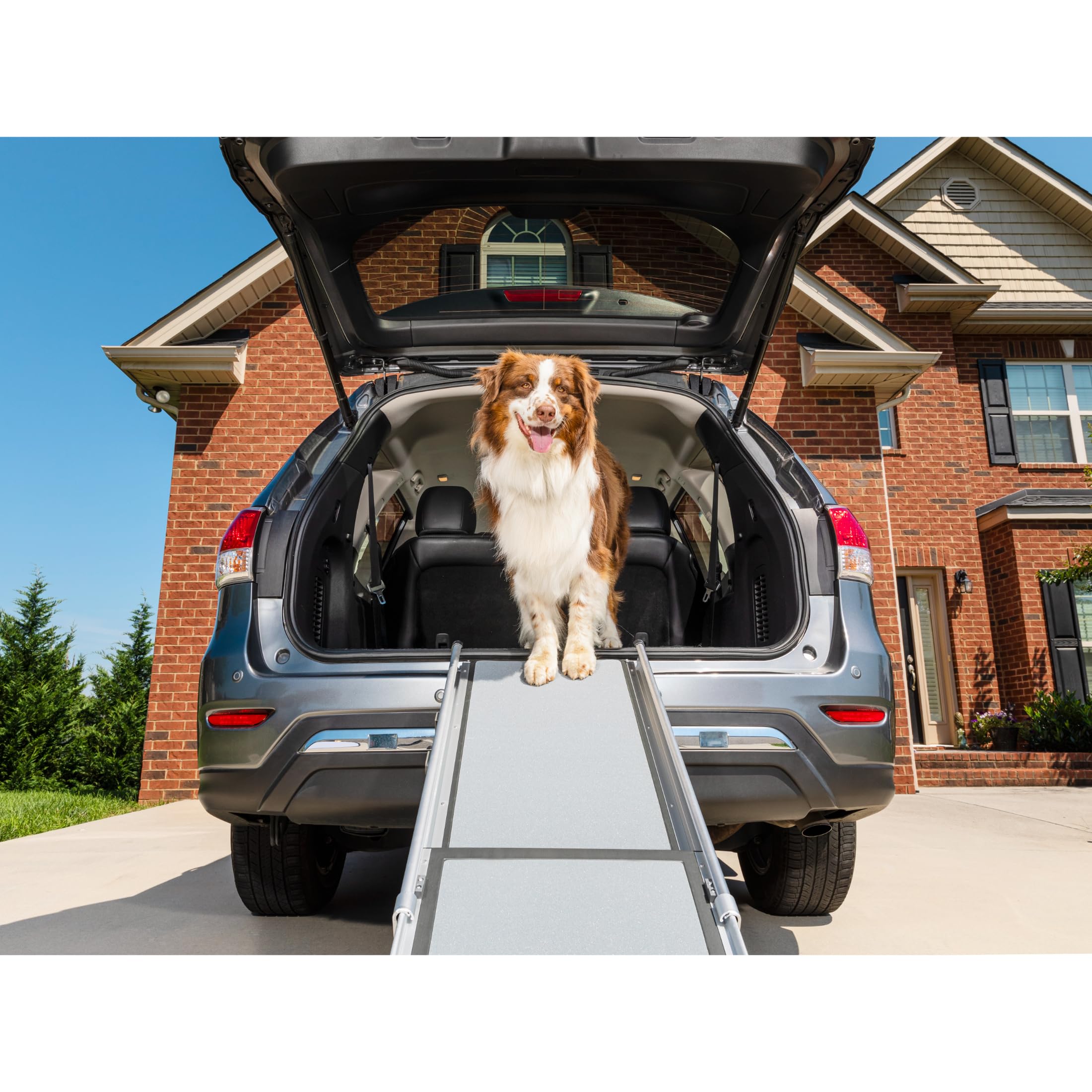 PetSafe Rampa telescópica Happy Ride, Ligera y transportable para Mascotas, para automóviles Grandes, Marco de Aluminio Resistente, 99-183 cm de Largo, Soporta hasta 181 kg