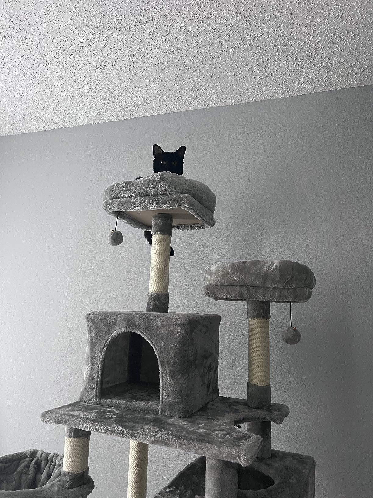 15/mo Finance Kilodor Tall Cat Tree, 65inch Cat Tower Multi Level