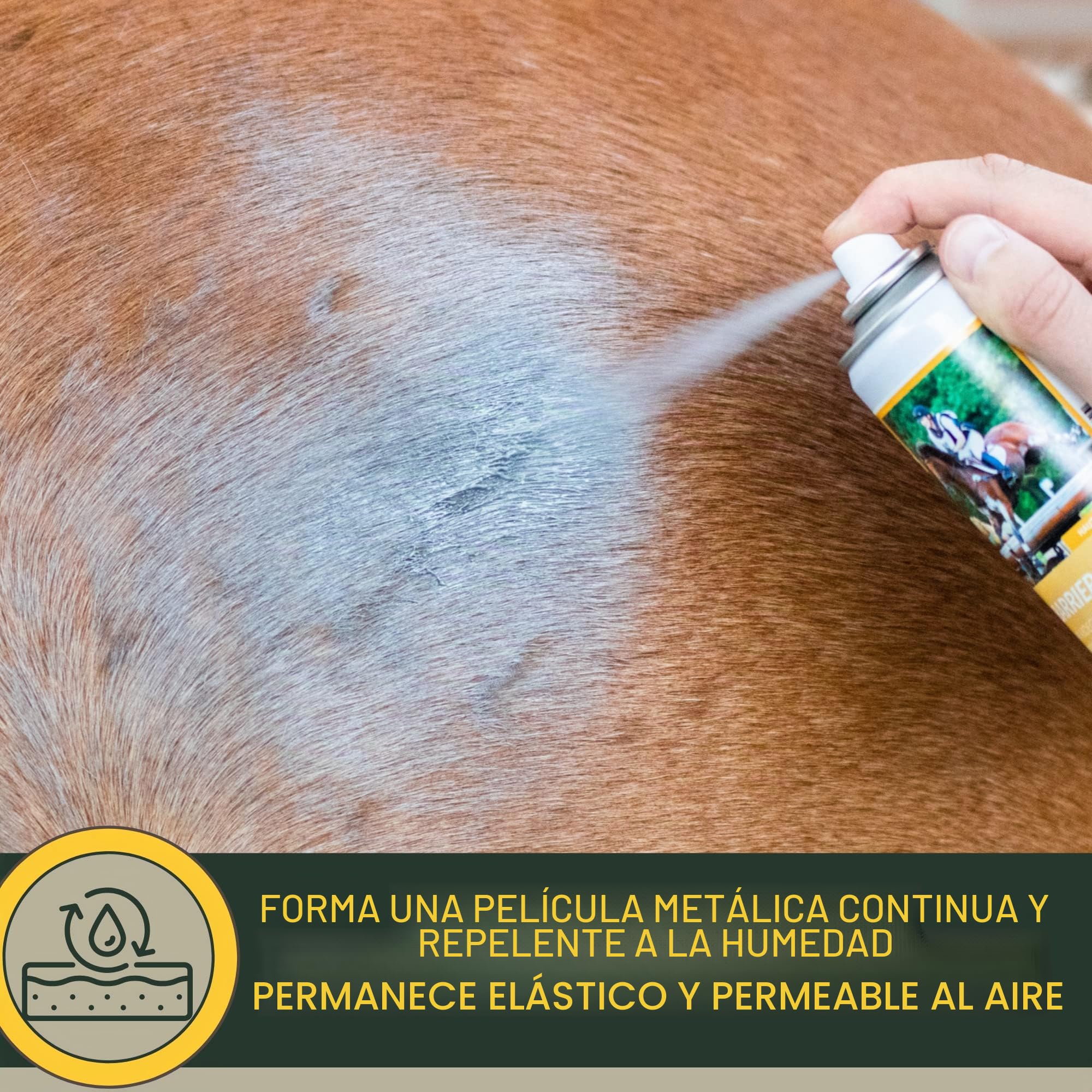 Spray de plata para caballos I Spray protector de heridas para animales I Spray de plata para perros y gatos I Spray de plata de aluminio I Desinfección Yeso en spray I Cuidado y desinfección 2*200ml