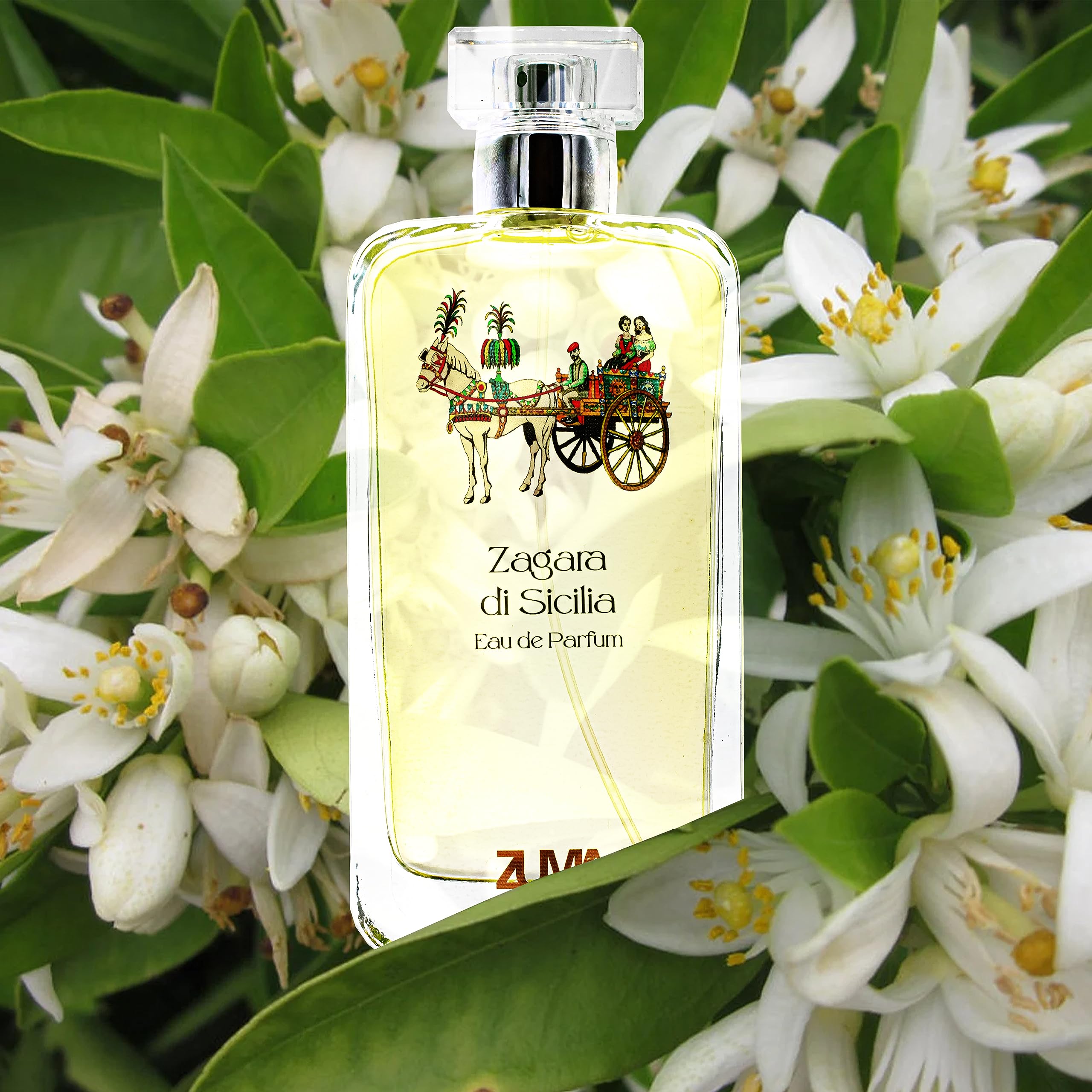 Profumi Zuma - Profumo Uomo e Donna alla Zagara di Sicilia - Eau de Parfum Unisex Fragranza Floreale Spray - Made in Italy (Zagara di Sicilia 100 ml)