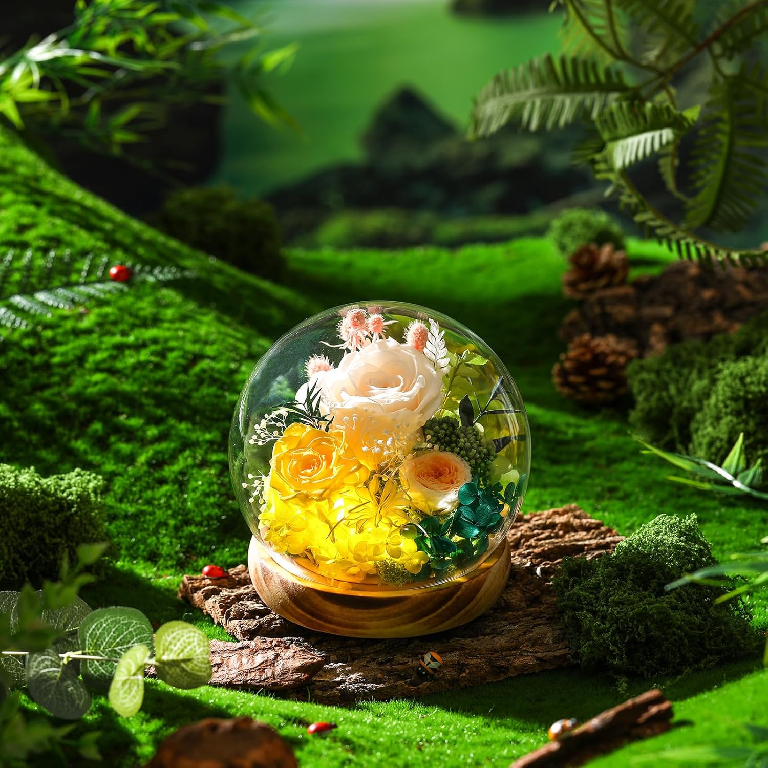 Long-Lasting Real Flowers,Preserved Rose Glass Dome with LED Light, Mixed Champagne and White Roses, Wooden Base, Unique Floral Gift for You to Send Love for All Occasions, for Indoor Decoration - Image 8