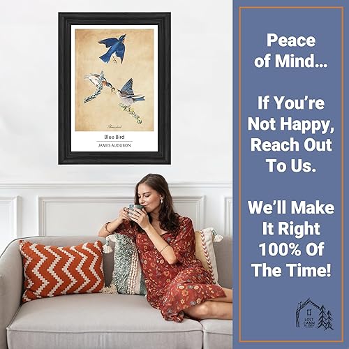 Vista 260 de Towee Bunting by James Audubon - Marco biselado negro de 12 x 16 pulgadas, decoración artística enmarcada para pared, reproducción de pinturas