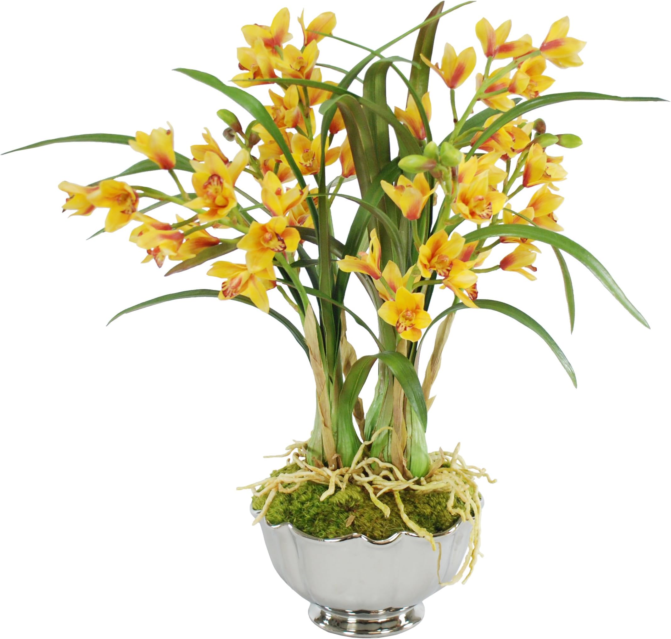 Cymbidiums in Round Bowl 25", White
