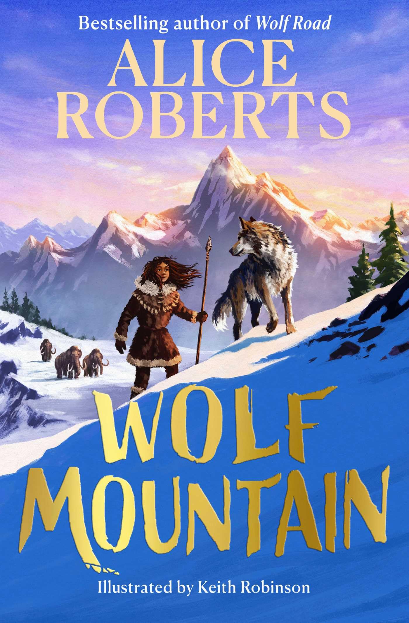 Wolf Mountain by Alice Roberts Paperback