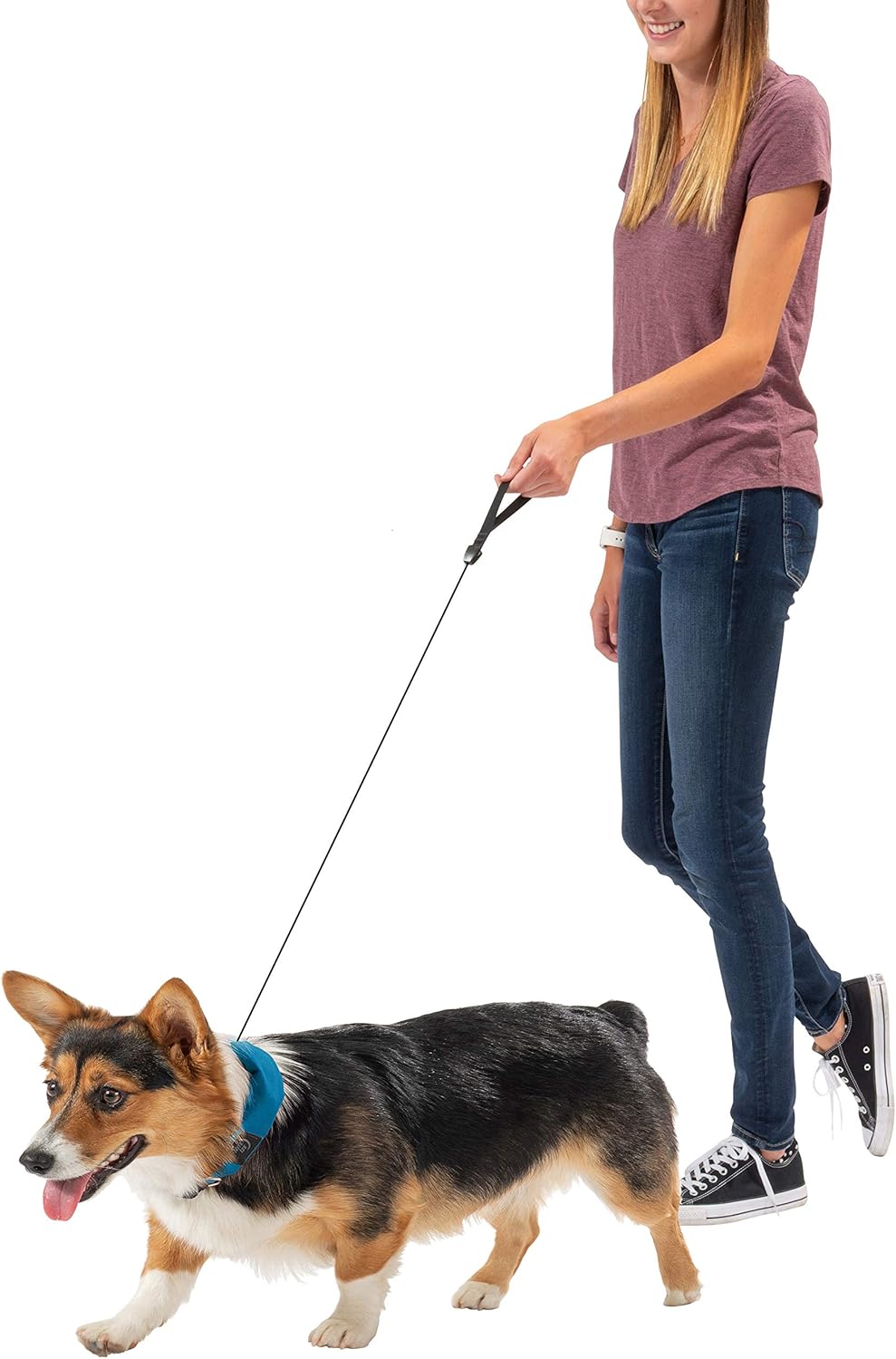 rad dog collar leash