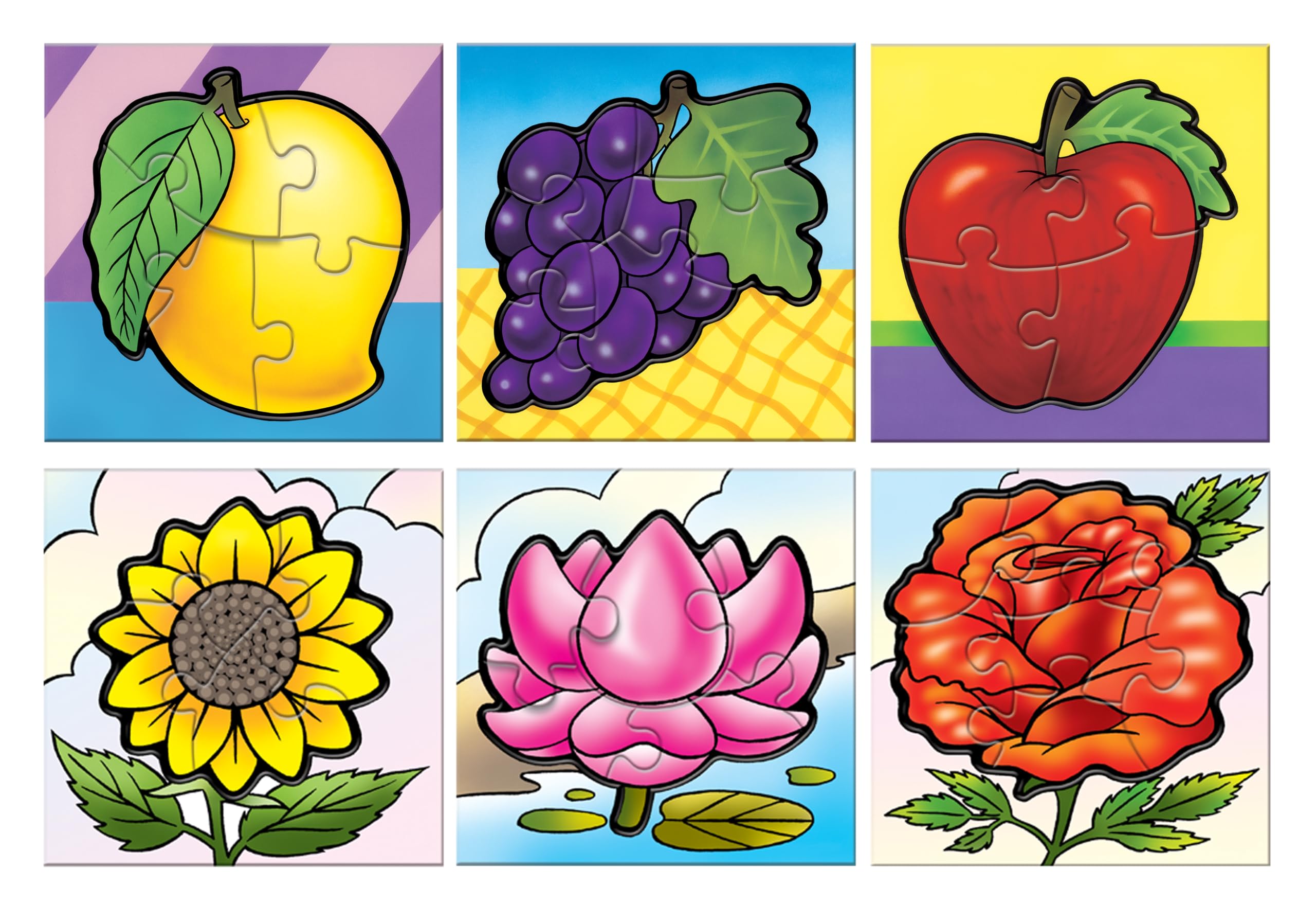 taneBrass Lab MoMo RUFF LEK 6-1/2（SP） Buy Frank 6 in 1 First Fun & Educational Jigsaw Puzzles for Kids