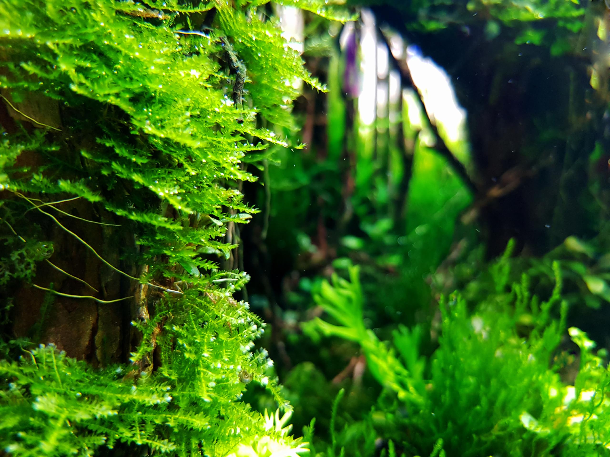 View 2