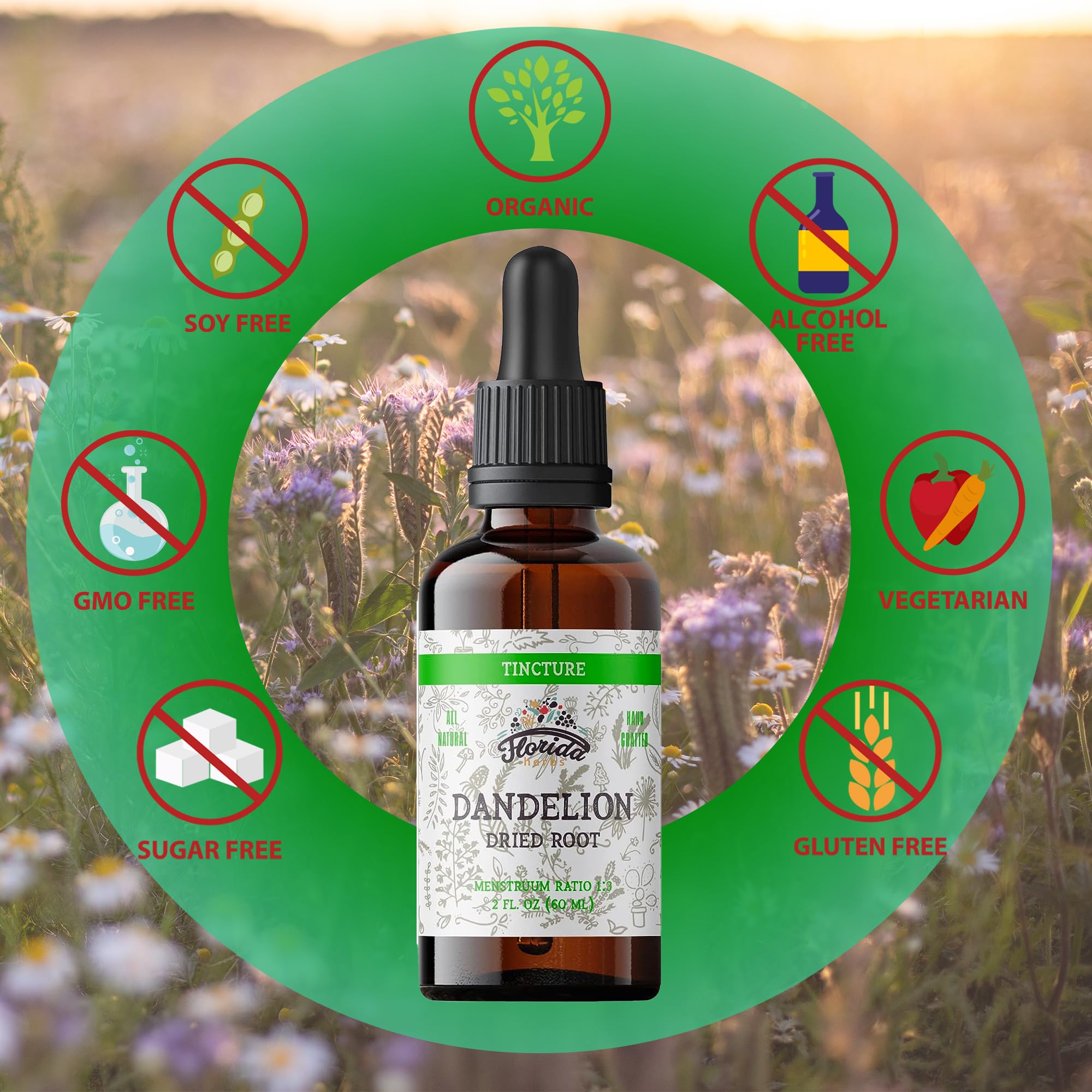 Amazon.com: Dandelion Root Tincture Organic Dandelion Extract