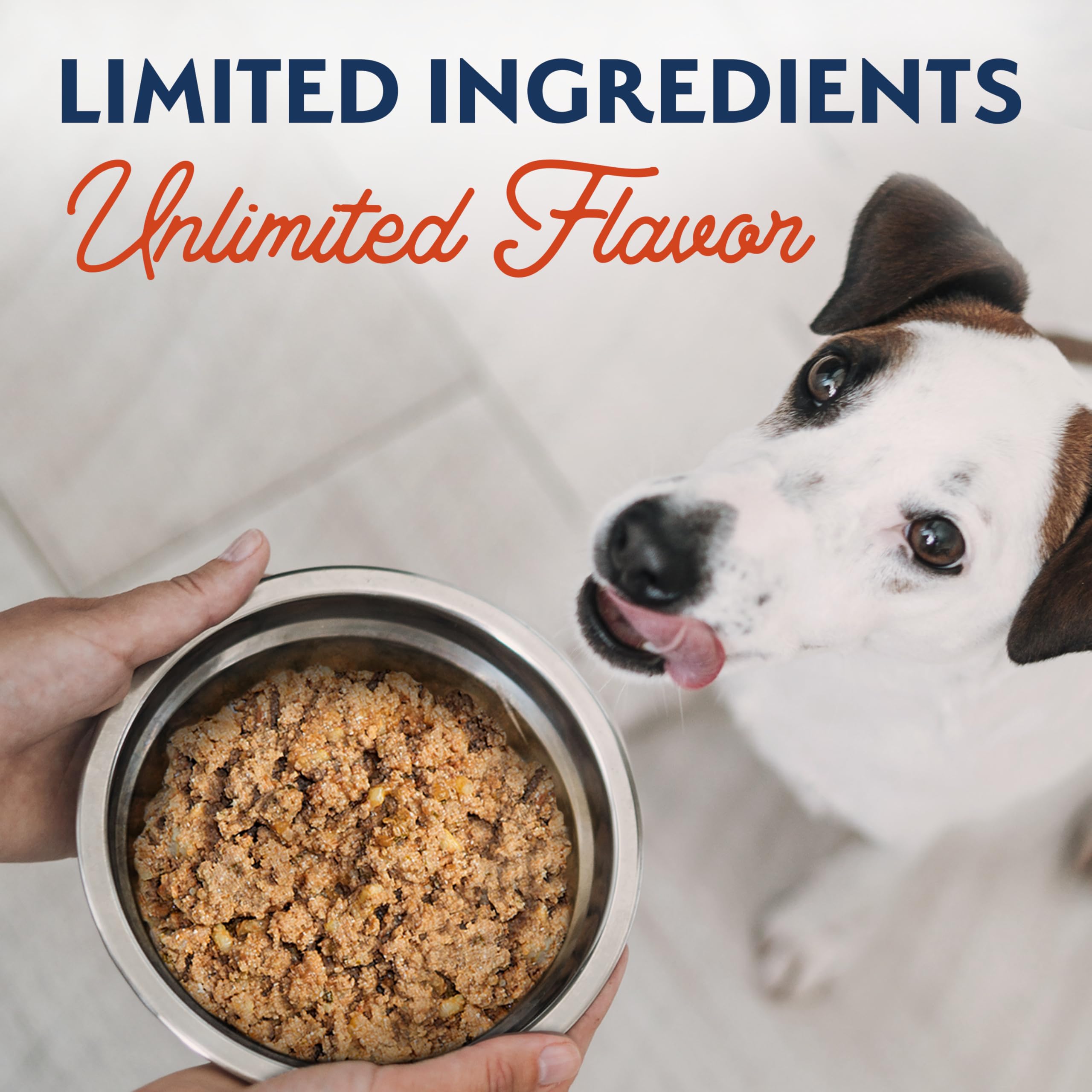 Amazon.com : Natural Balance Limited Ingredient Grain-Free Wet Canned Dog  Food - Rich Animal Protein Source - Balanced Nutrition - Soy-Free,  Gluten-Free - 13 oz - Salmon & Sweet Potato Recipe - 6 Pack : Pet Supplies