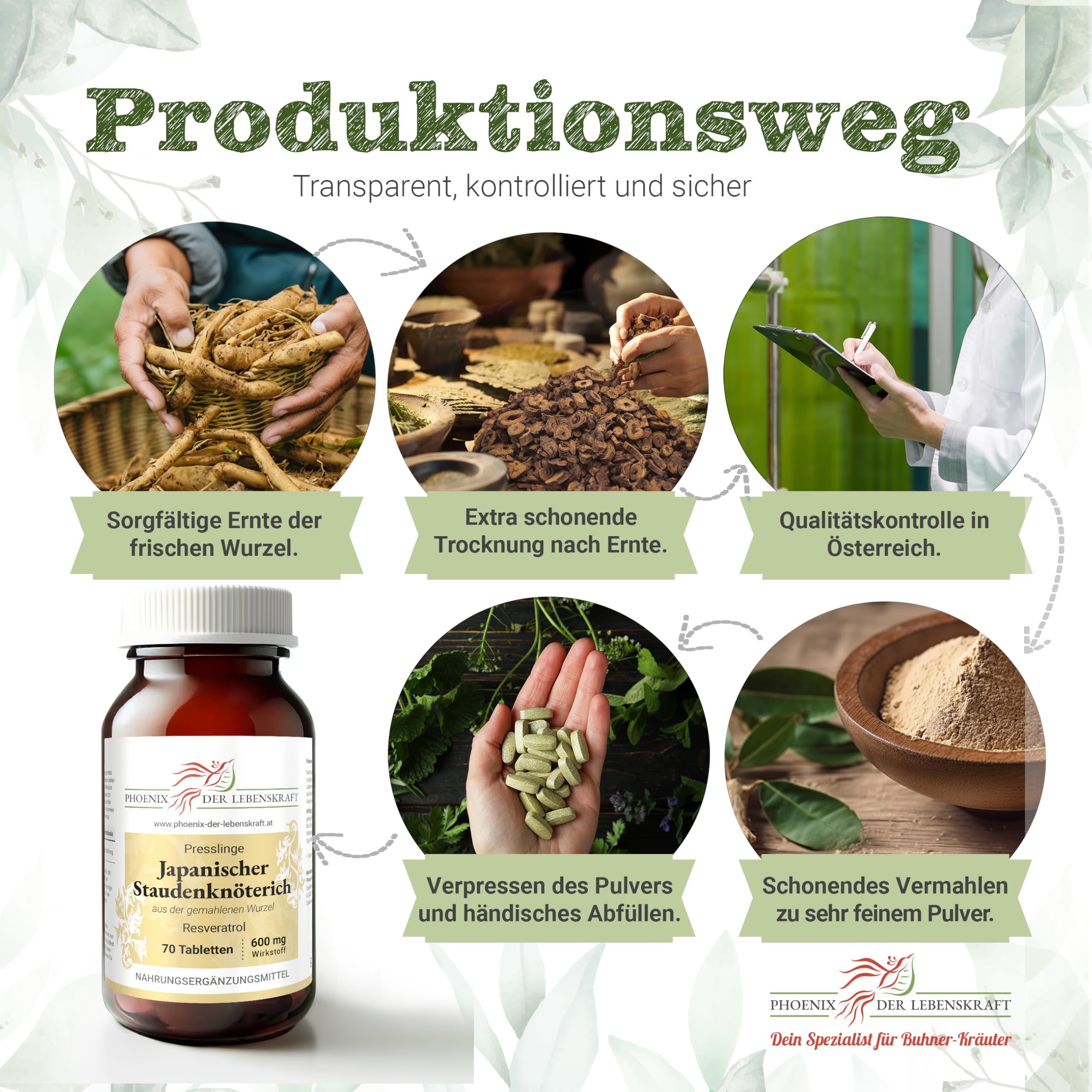 Japanischer Staudenknöterich Tabletten 600 mg | 70 Tabletten Polygonum cuspidatum | Qualität aus Österreich | aus gemahlener Wurzel | praktische Tabletten statt Kapseln | Fallopia japonica, Huzhang