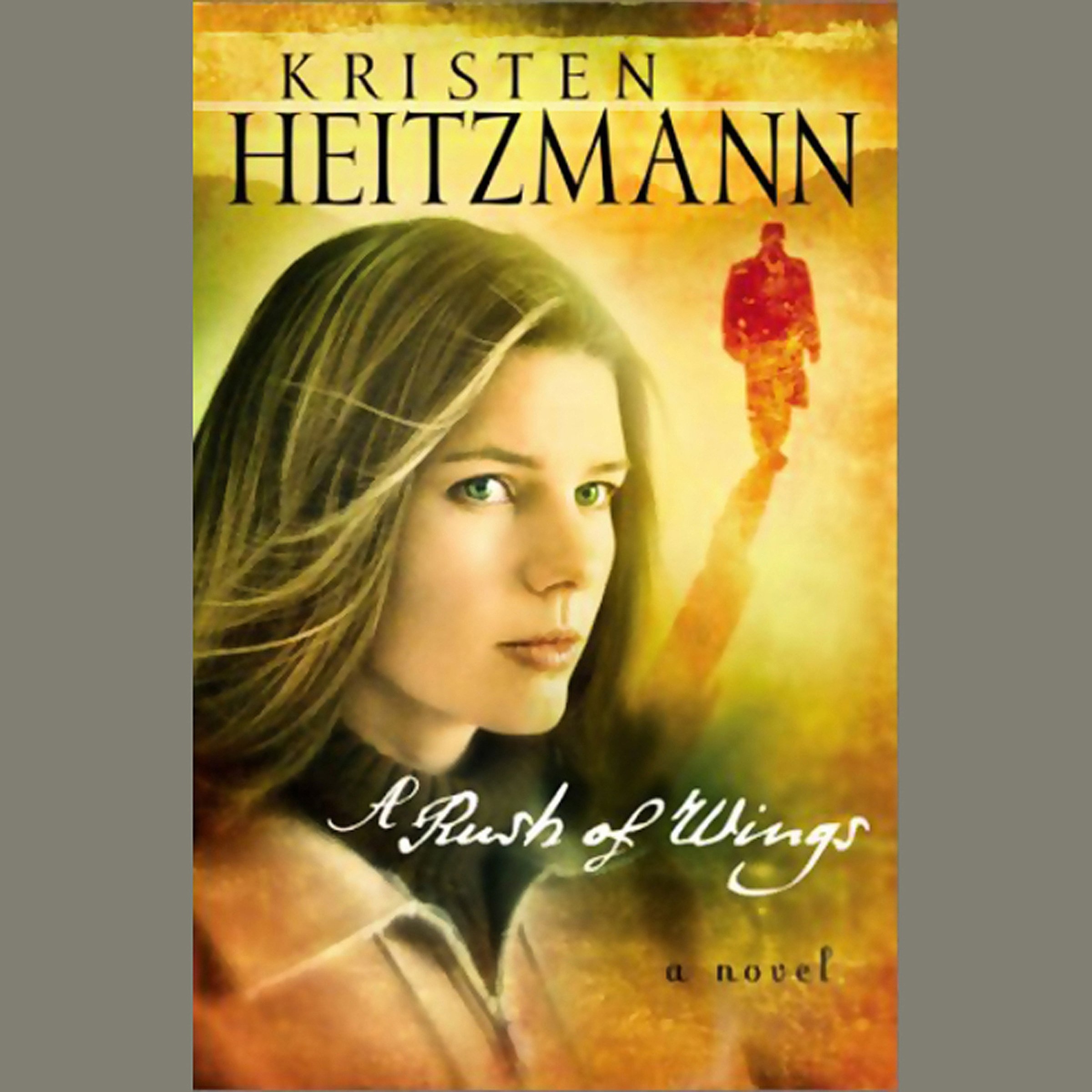 Cover art for A Rush of Wings