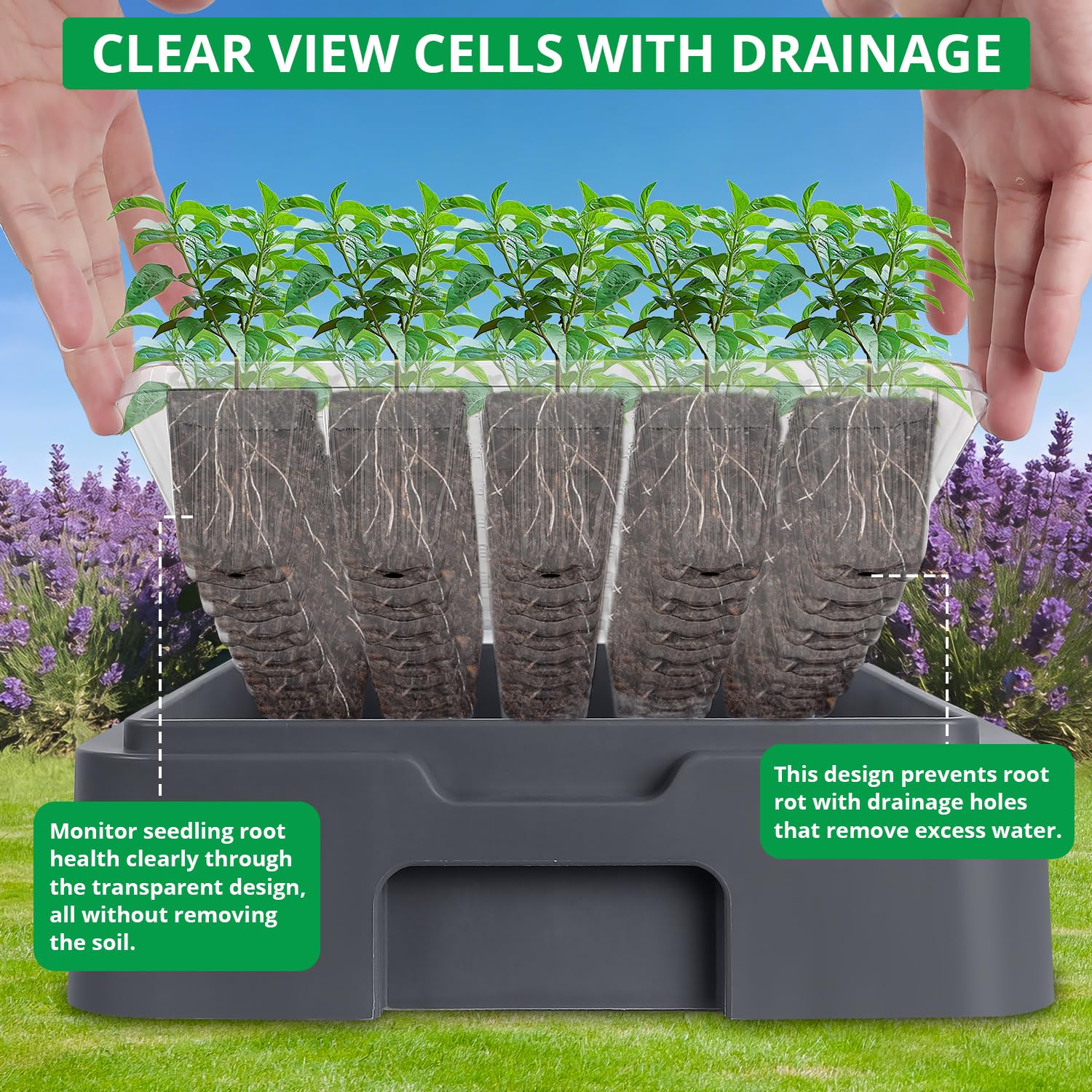 Sondiko Vassoio di avviamento per semi con luce crescente, kit di avviamento per semi riscaldato con display della temperatura, kit di germinazione a cupola umidità, luce regolabile per l'avvio dei