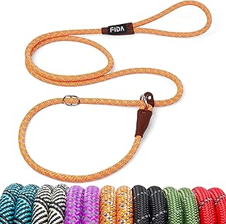 Fida Durable Slip Lead Dog Leash, 6 FT x 3/8" Heavy Duty Dog Loop Leash, Comfortable Strong Rope Slip Leash for Small Dogs and Puppies, No Pull Pet Training Leash with Highly Reflective (3/8", Orange)