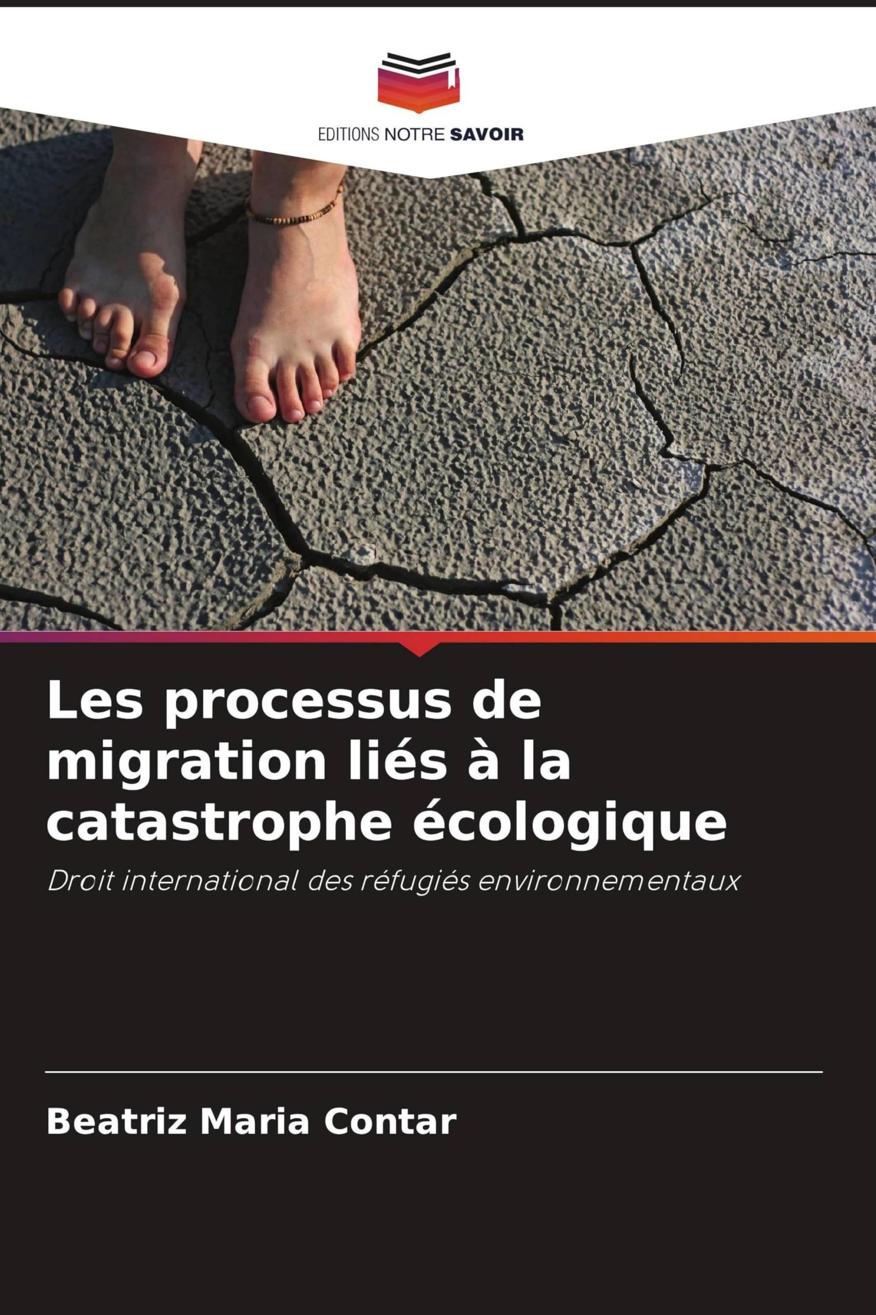 Les processus de migration liés à la catastrophe écologique: Droit international des réfugiés environnementaux