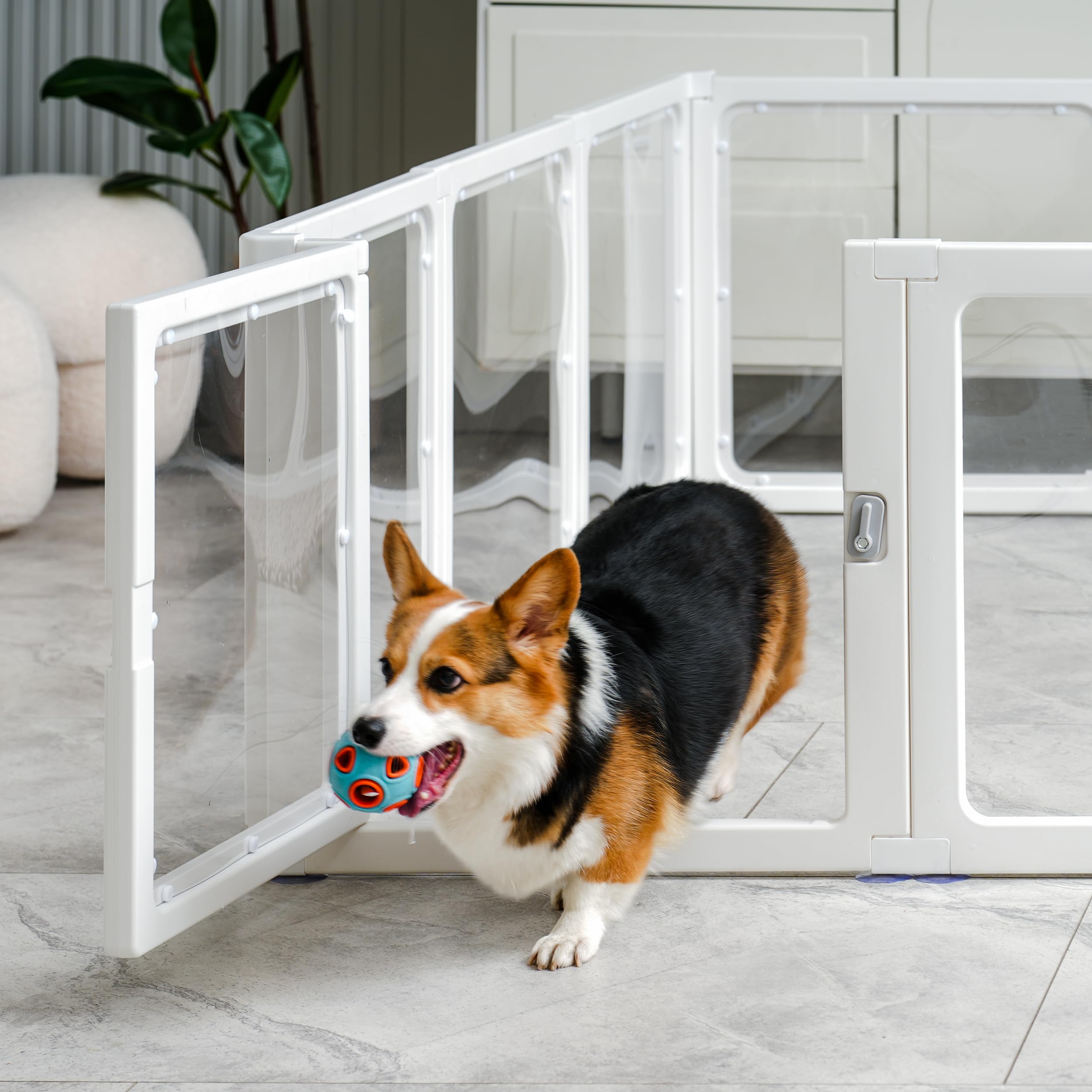 8 Welpenlaufstall Faltbar mit abschließbarer Tür, 120X120X60cm hoch, Welpenauslauf Indoor Transparent, Laufstall Hund für Katzen, Hunde, Kaninchen und kleintiere, rutschfest, weiß