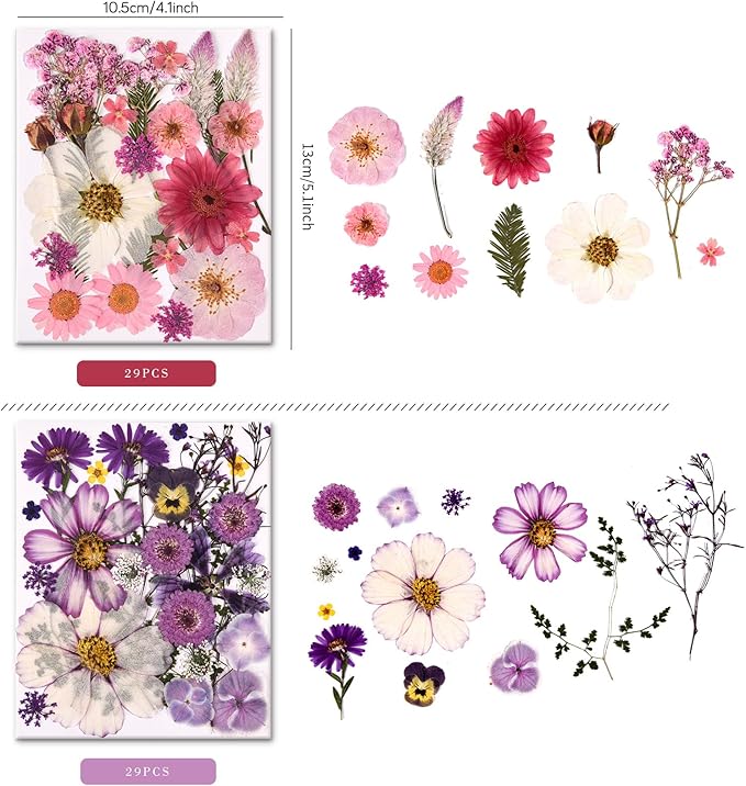 Set de 5 paquetes de flores secas prensadas naturales con pinzas para manualidades miniatura 3
