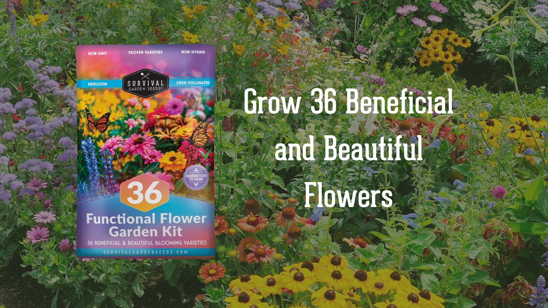 Amazon.com : Flower Seeds Garden Kit - 36 Packs of Annual