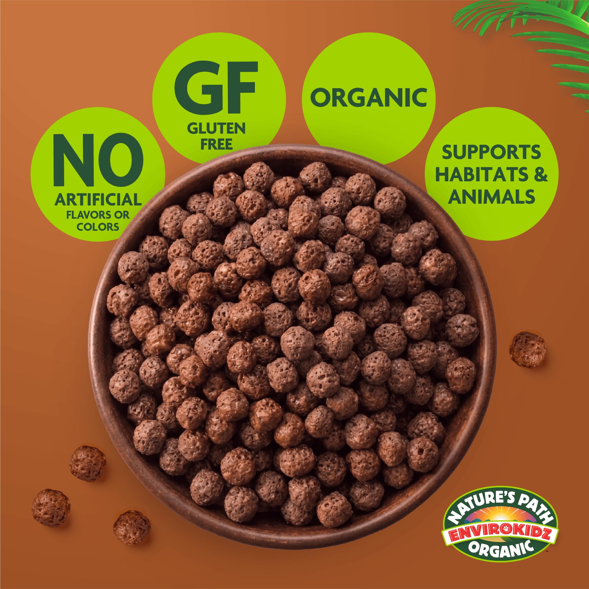 Amazon.com: EnviroKidz Organic Choco Chimps Cereal, 10 oz (Pack of