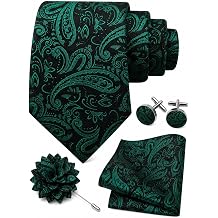 Mens Paisley Ties for Men Classic Wedding Necktie and Lapel Pin Woven Handkerchief Cufflinks Set