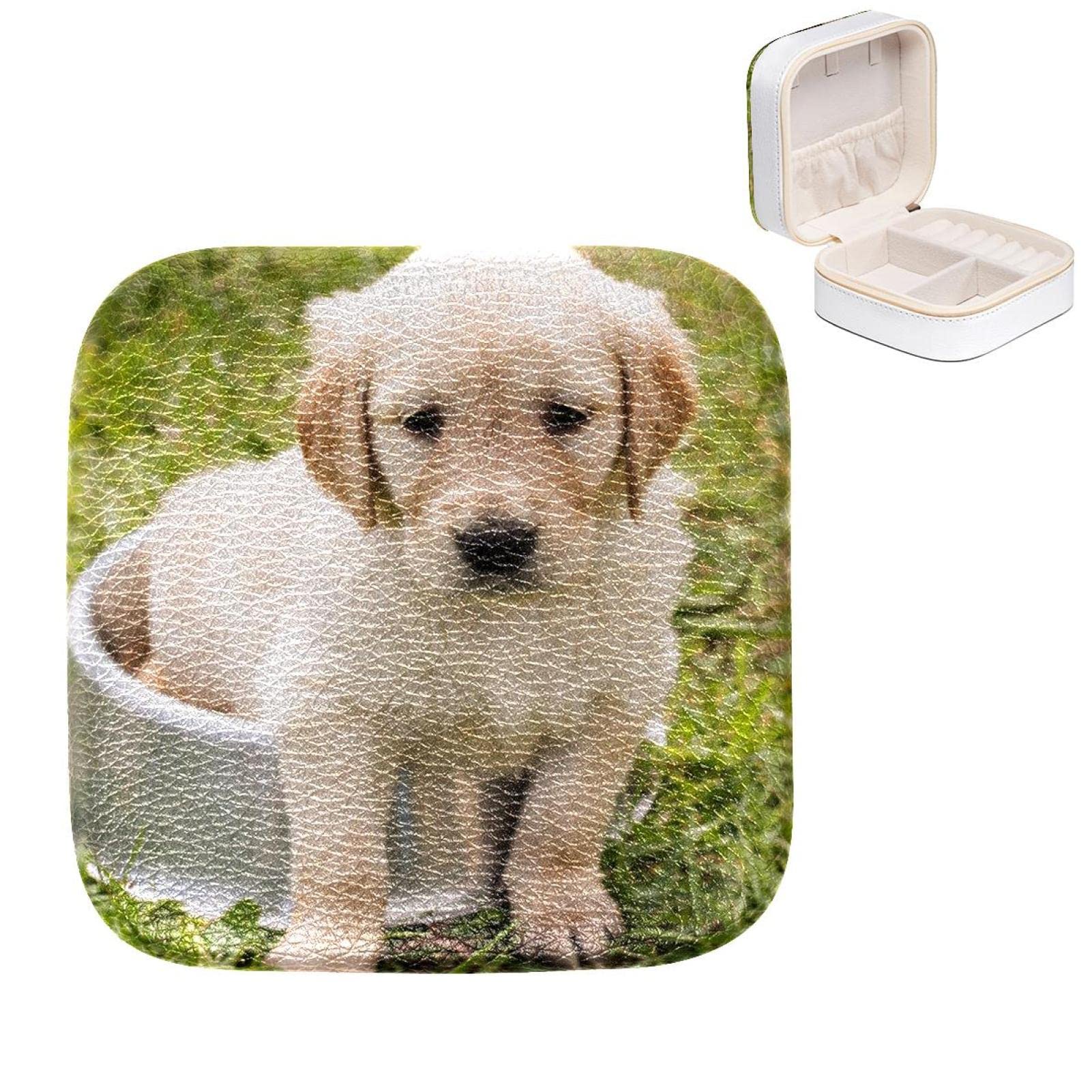 Boîte à bijoux de voyage golden retriever pour boucles d'oreille