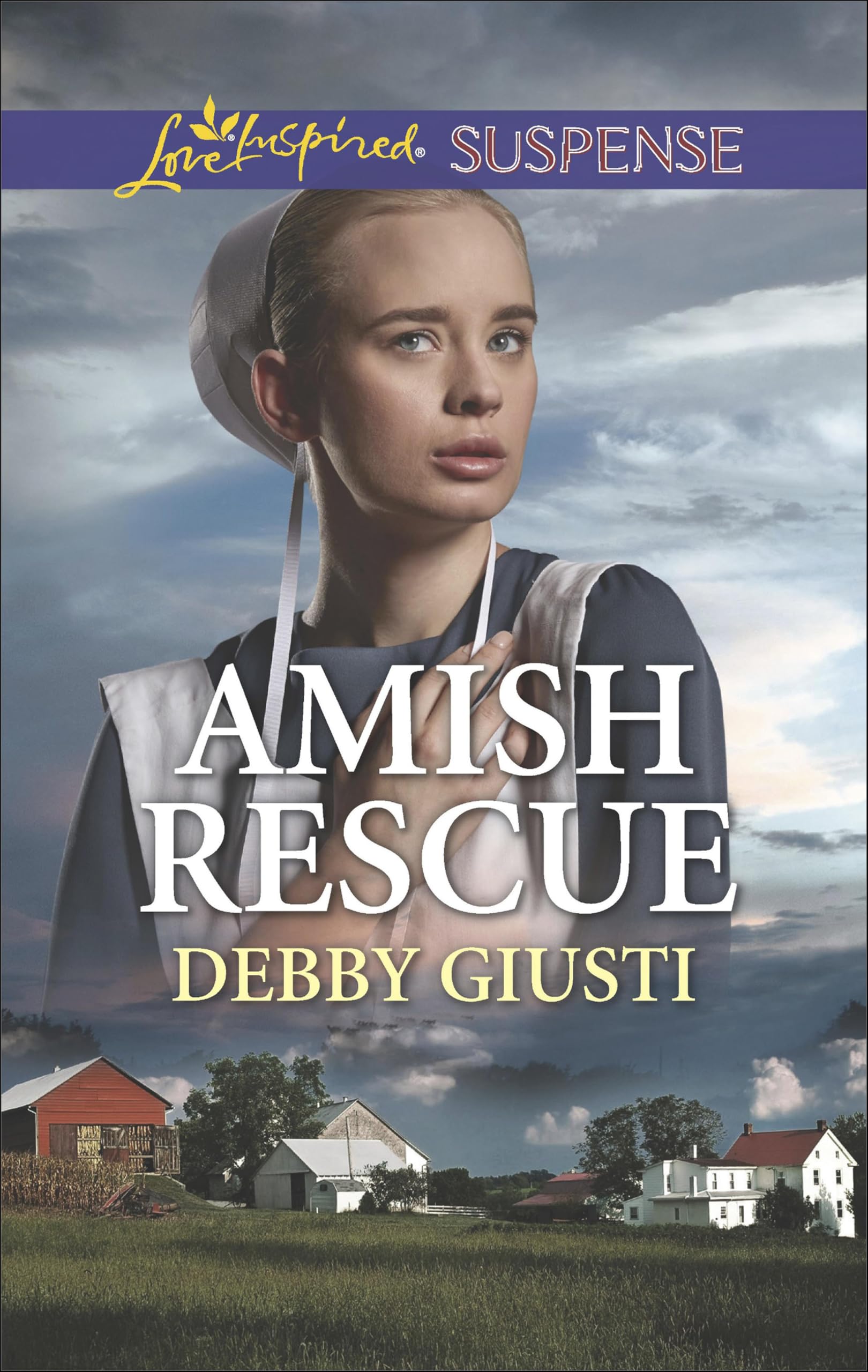 Amish Rescue (Amish Protectors)