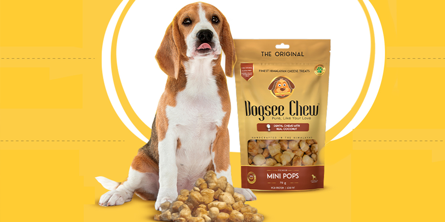 Amazon | Dogsee Chew(ドッグシーチュウ) ラージバー 大型犬用