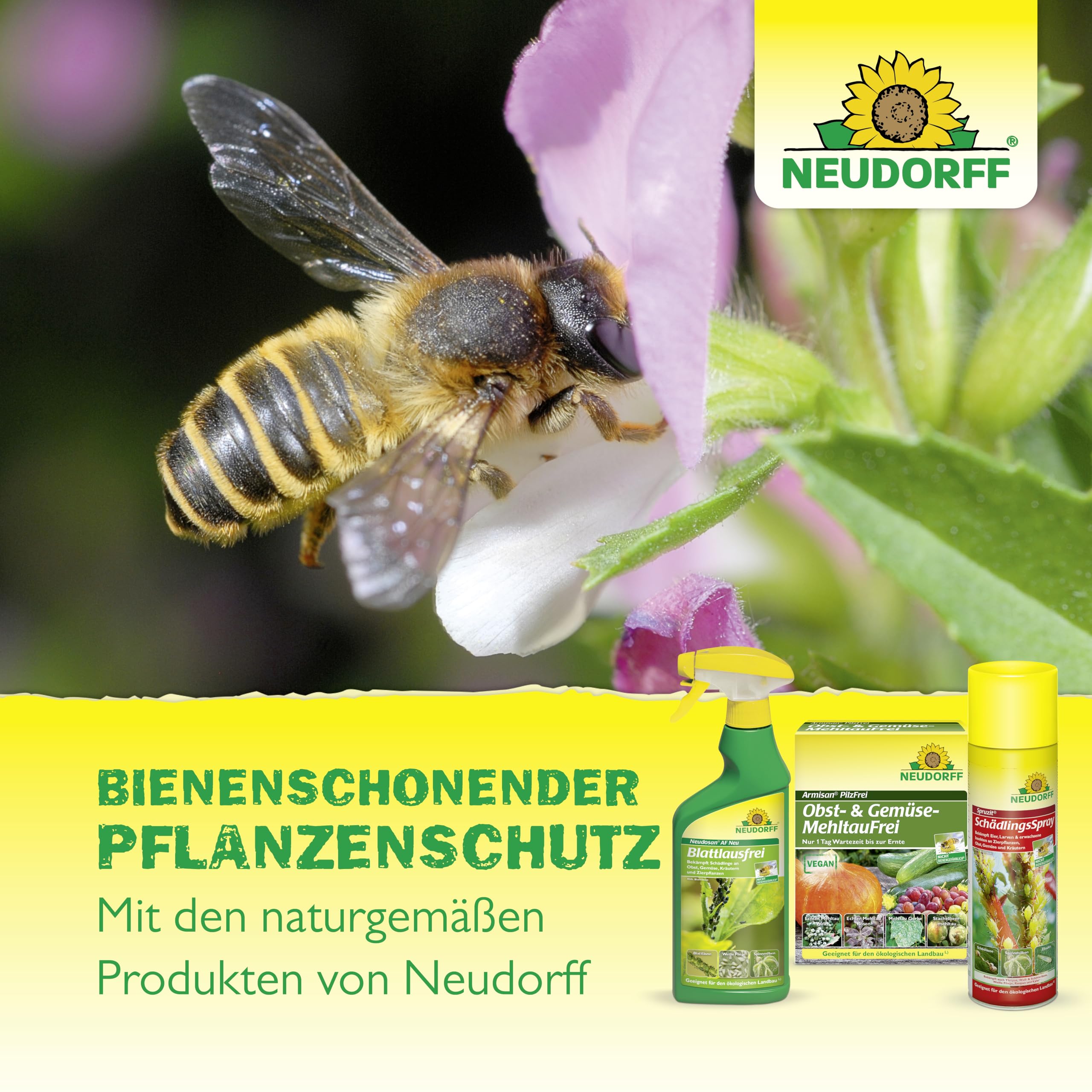 Neudorff BioKraft Grundstoff Natron – Anwendungsfertiges Spray gegen Pilzkrankheiten an Rosen und anderen Zierpflanzen, mit pflanzlichen Inhaltsstoffen, 500 ml