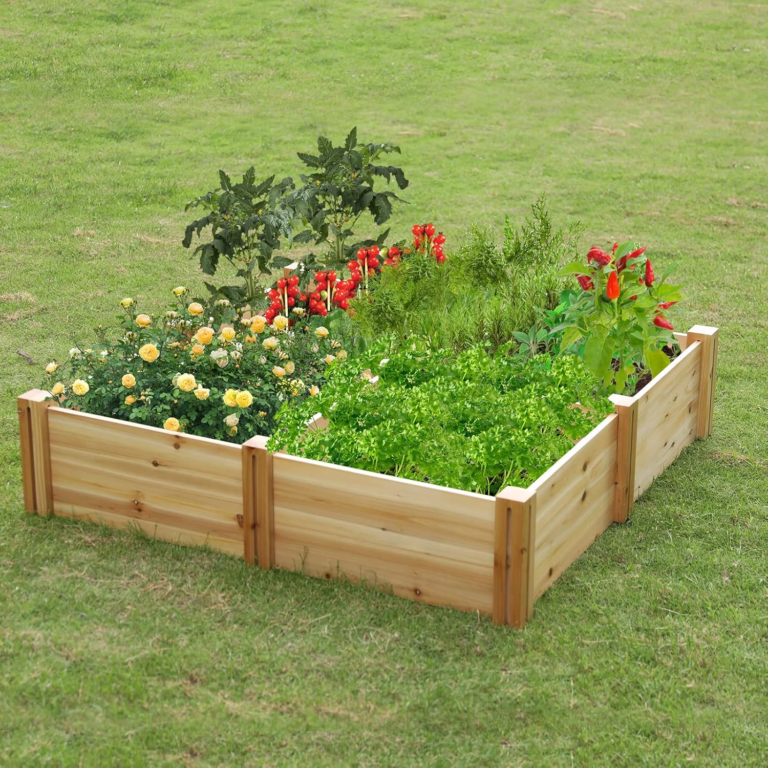 Raised Garden Bed, Solid Wood Planter Box, Divisible Garden Bed, Corner Patio Planter, Greenhouse Tiered, Raised Planter Box, Gardener Lettuce Tomato, Outdoor Planter, Raised beds for Gardening